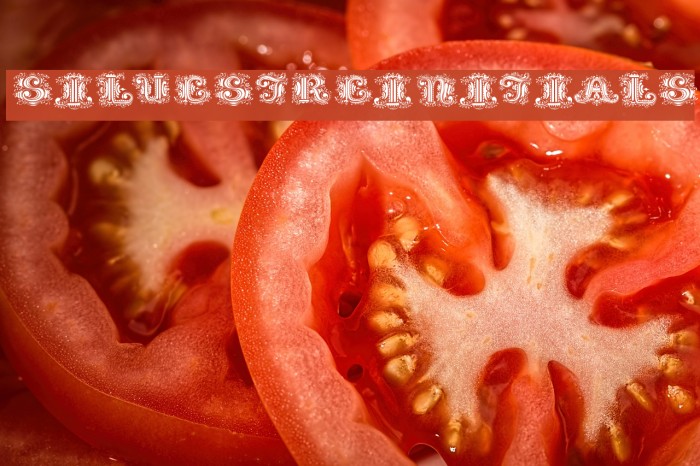 SilvestreInitials Font examples