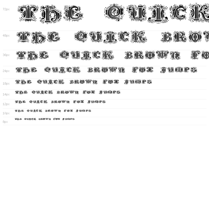 SilvestreInitials Waterfall