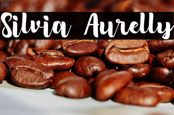 Silvia Aurelly Example 2