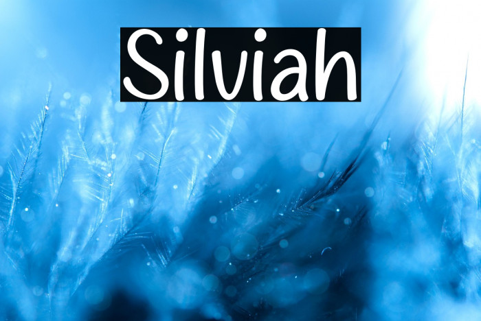 Silviah Example 2