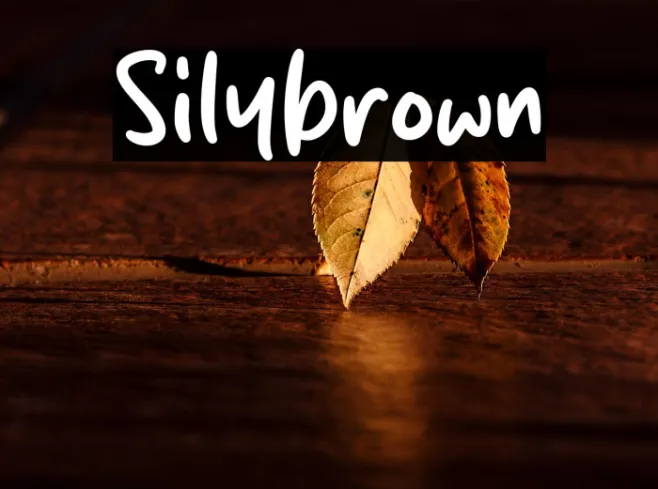 Silybrown Example 1