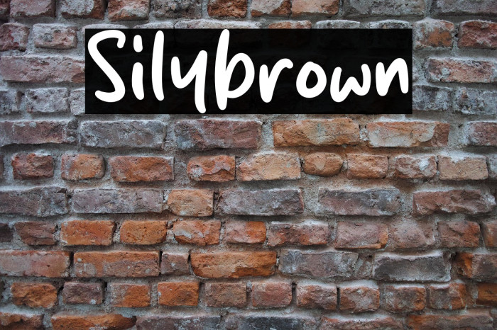 Silybrown Example 2