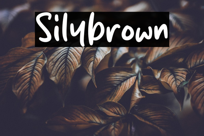 Silybrown Example 3