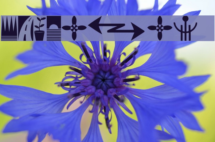 Simbolos 1 Example 1