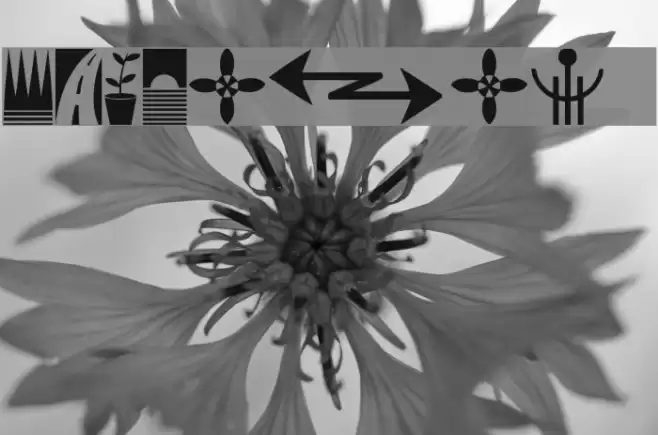 Simbolos 1 Font examples