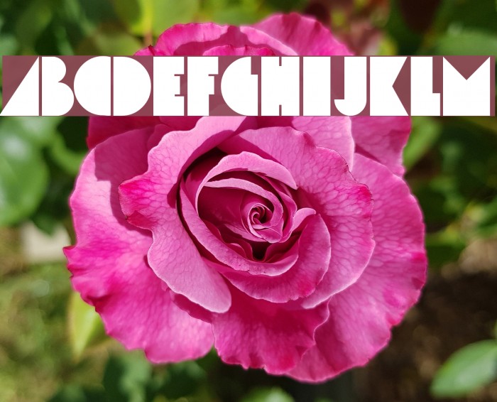 Simcha Font examples