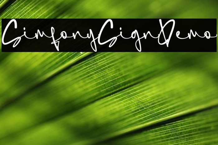 SimfonySign-Demo Example 1