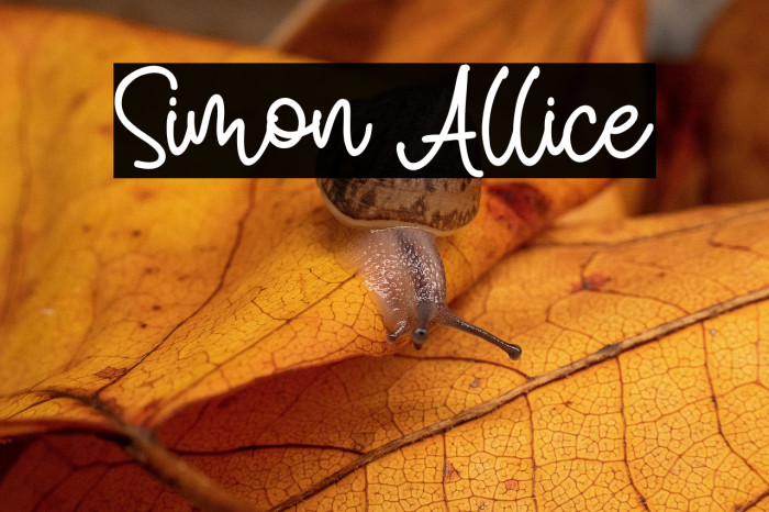 Simon Allice Example 1