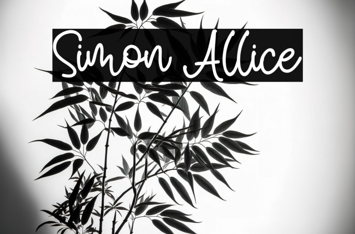 Simon Allice Example 2