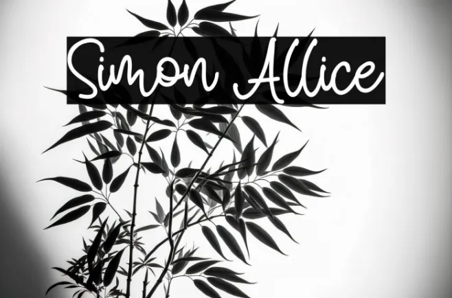 Simon Allice Example 2