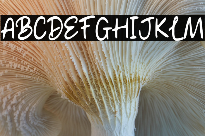 Simon Blooming Demo Example 3