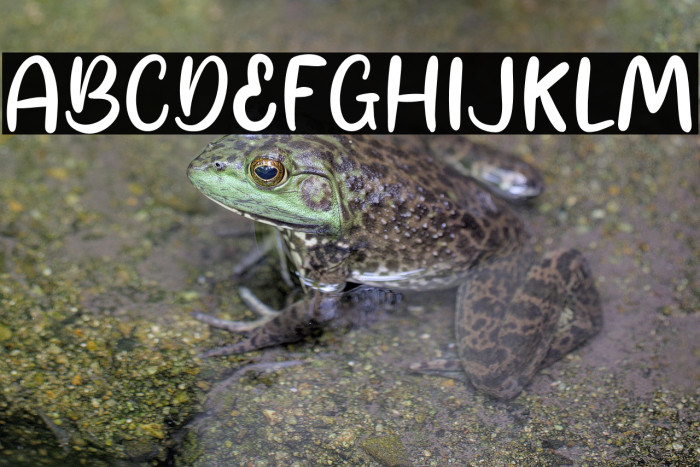 Simon Lovely Example 2