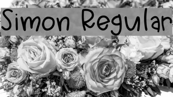 Simon Regular Font examples