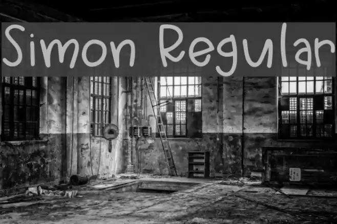 Simon Regular Font examples