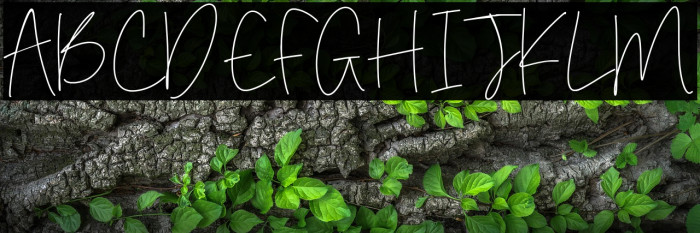 Simone Kimber Example 2