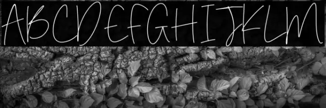 Simone Kimber Font examples