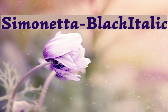 Simonetta-BlackItalic Font examples
