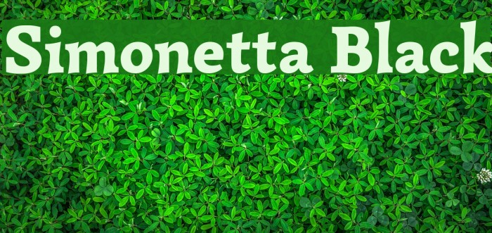 Simonetta Black Example 1