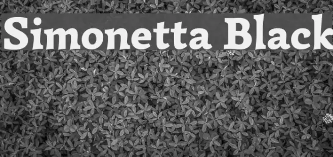 Simonetta Black Font examples