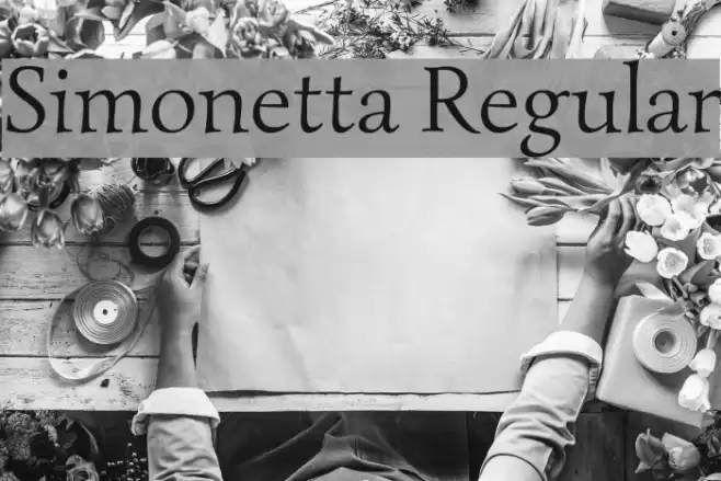 Simonetta Regular Schriftart examples