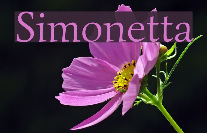 Simonetta Font examples