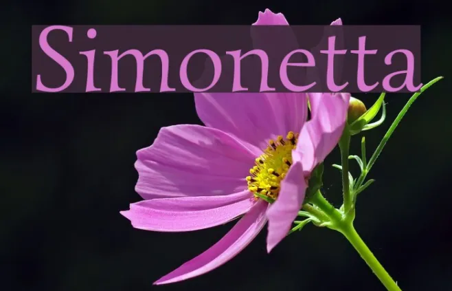 Simonetta Example 2