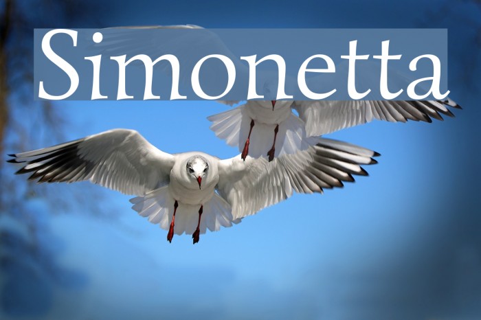 Simonetta Font examples