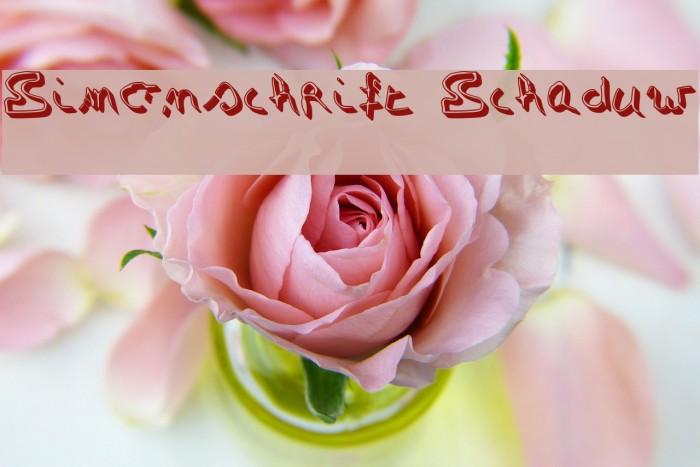 Simonschrift Schaduw フォント examples