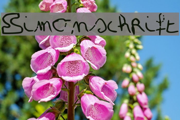 Simonschrift Font examples