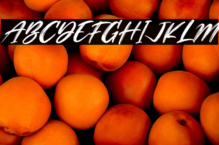 Simphony Brushe Italic Example 2