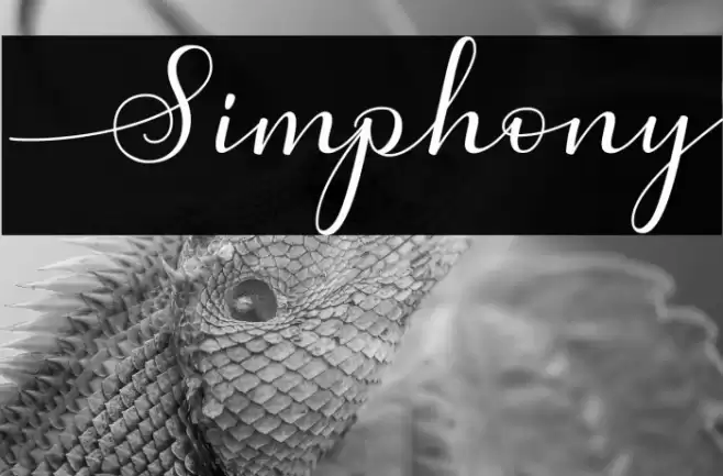 Simphony Font examples