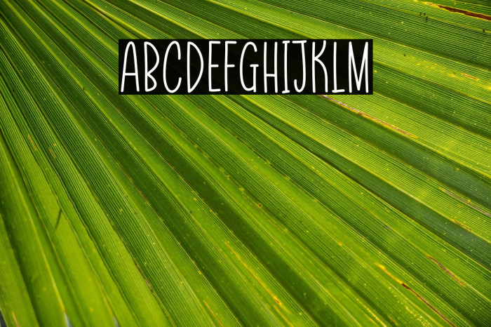 Simple And Minimalis Example 2