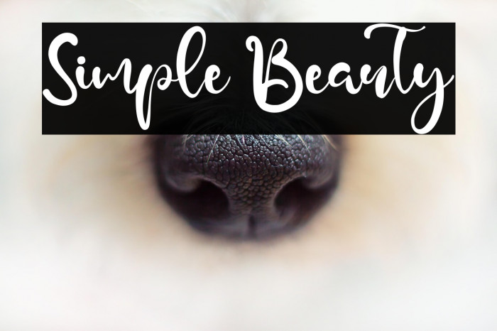 Simple Beauty Example 3