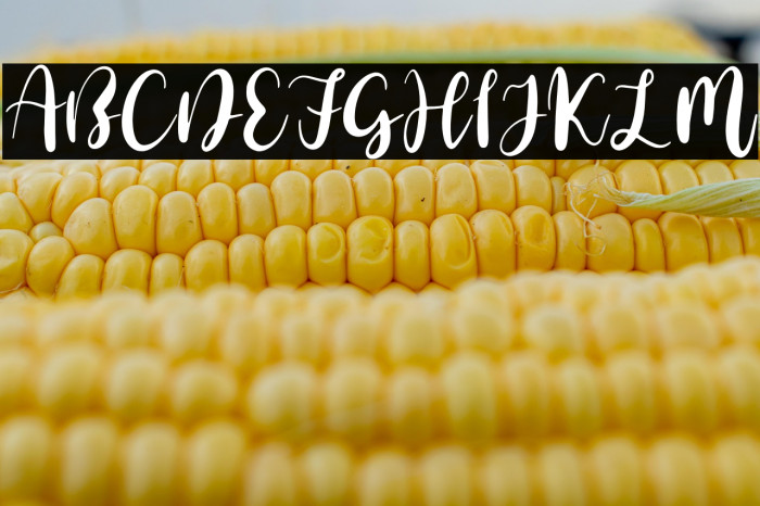 Simple Brush Example 2