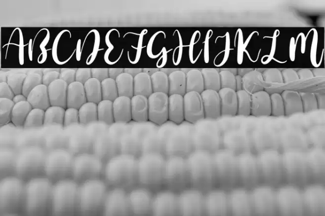 Simple Brush Font examples