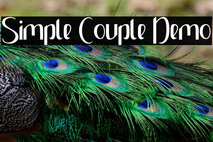 Simple Couple Demo Example 3