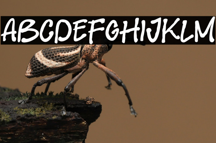 Simple Create Font examples