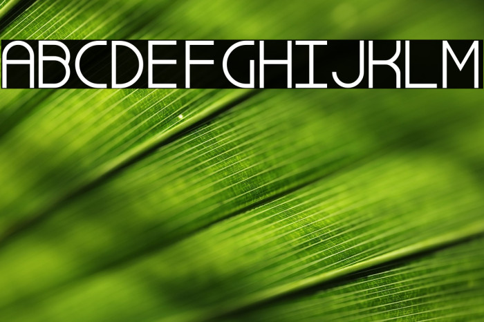 Simple Dandy Example 1