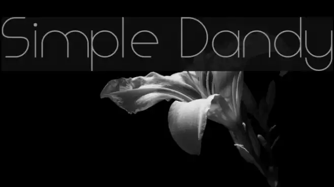 Simple Dandy Font examples