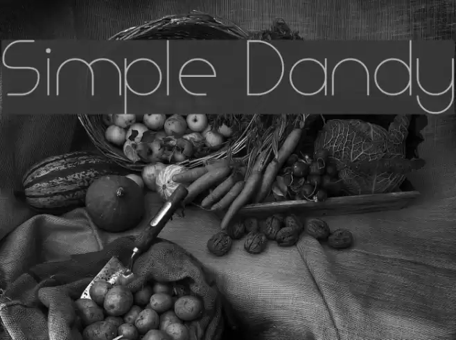 Simple Dandy Font examples