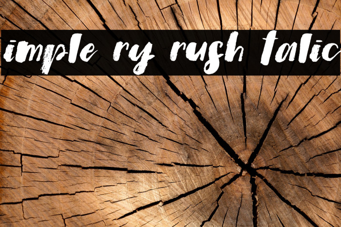 Simple Dry Brush Italic Font examples
