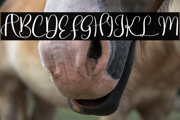 Simple Fits Example 1