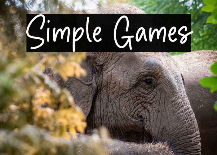 Simple Games Example 3