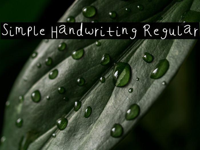 Simple Handwriting Regular Example 2