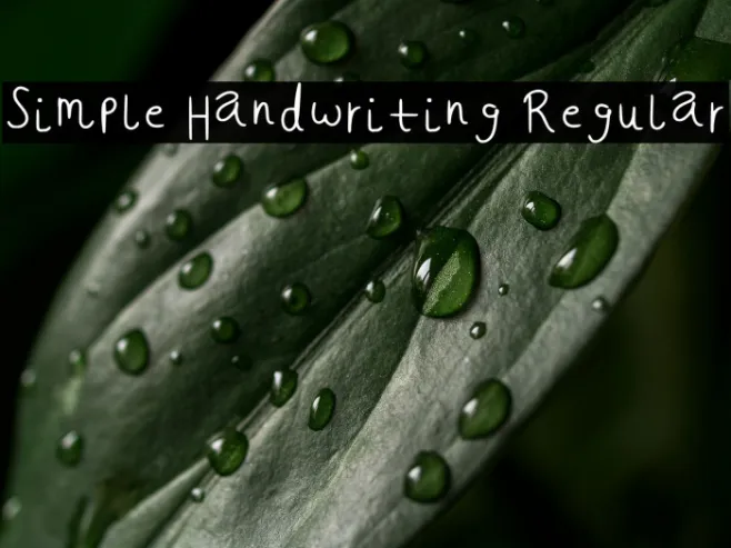 Simple Handwriting Regular Example 2