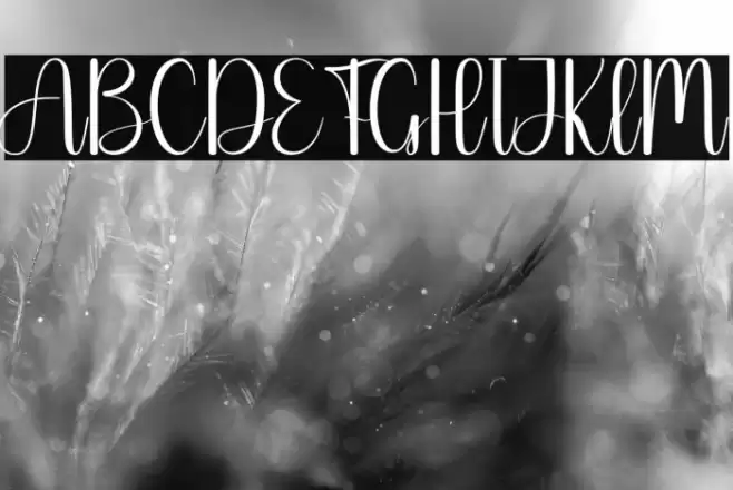 Simple Home خط examples