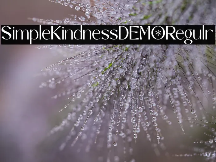 Simple Kindness DEMO Regular Example 2