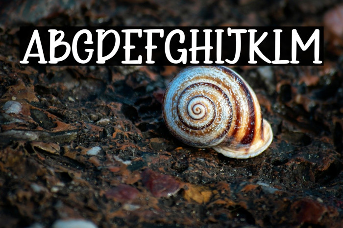 Simple Kitchen Example 1