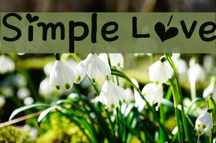 Simply love. Simple Love.