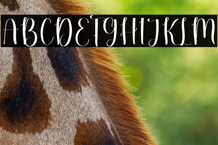 Simple Mandala Example 3